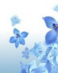 pic for Blue Flowers